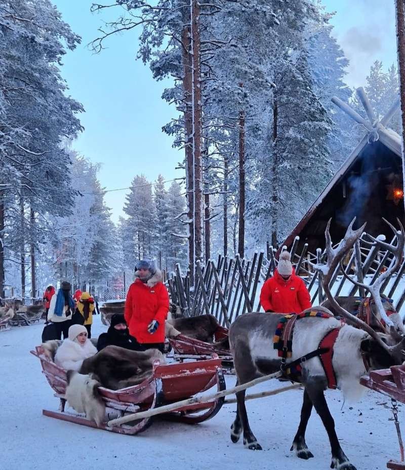 porodica-tanovic-arktik-fena-3