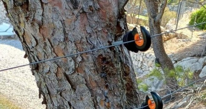 'Lokalni šerif' na Visu? Ogradio dio pomorskog dobra i postavio električnu ogradu