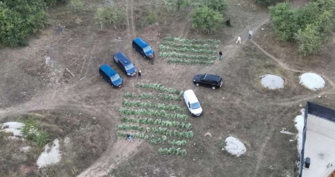 Oglasili se iz policije oko akcije 'Pantera': Evo ko je sve uhapšen